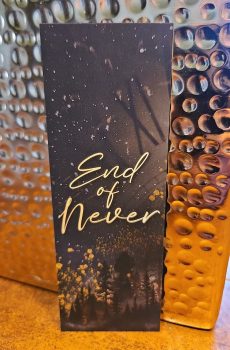 End of Never Bookmarks